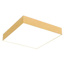 Đèn Ốp Trần MSS-594