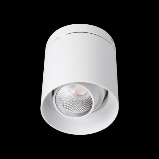 den-lon-noi-euroto-ln-42-cob-25w