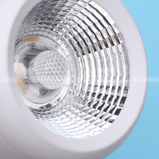 den-thanh-ray-euroto-fn-269-cob-12w