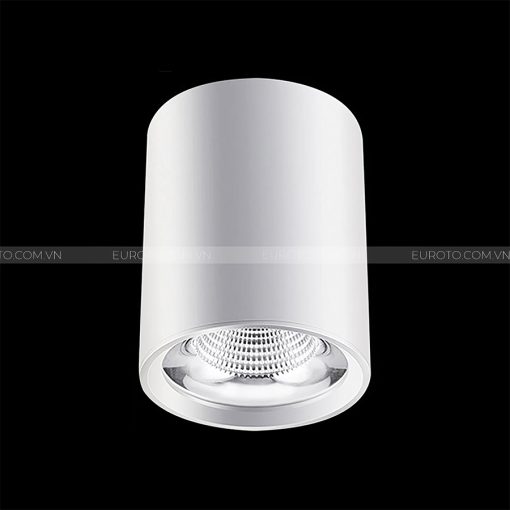den-lon-noi-euroto-ln-123-cob-20w