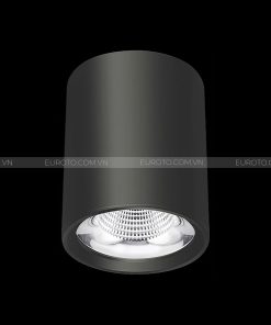 den-lon-noi-euroto-ln-125-cob-12w