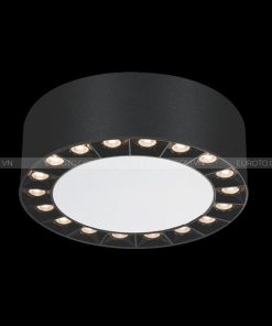 den-led-op-tran-euroto-ong-bo-ln-189-20w