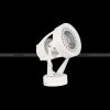 den-roi-de-ngoi-euroto-fn-129-cob-30w